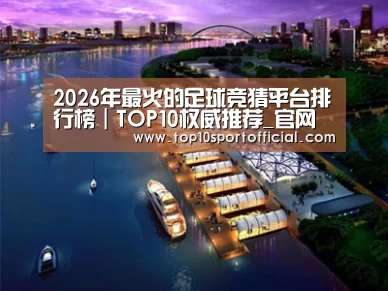 案例展示八