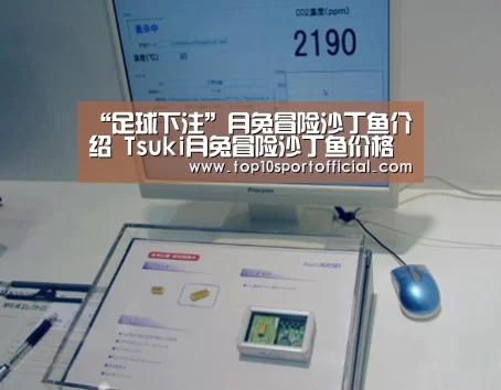 赌球