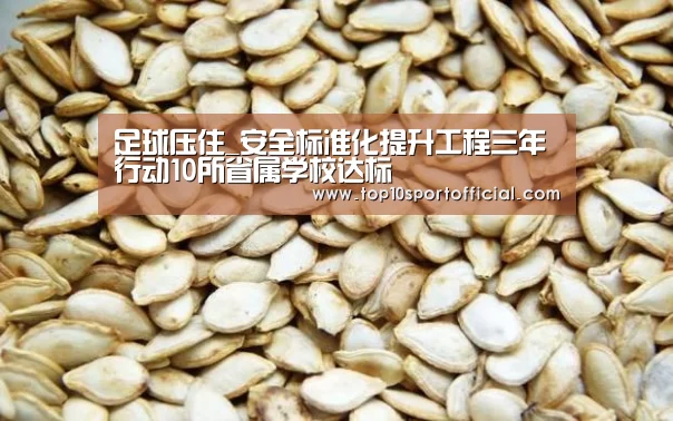 足球压住_安全标准化提升工程三年行动10所省属学校达标(图1) 足球下注