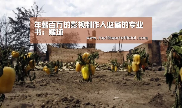 年薪百万的影视制作人必备的专业书:赌球(图4) 足球下注