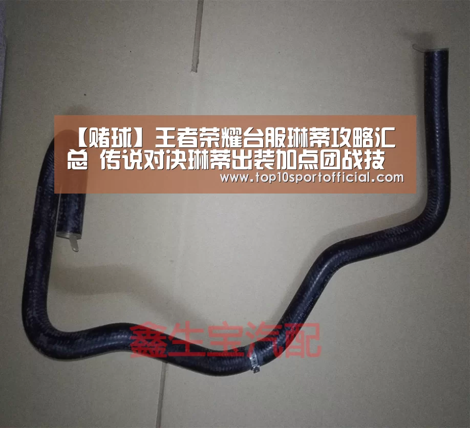 【赌球】王者荣耀台服琳蒂攻略汇总 传说对决琳蒂出装加点团战技巧视频全攻略(图1) 赌球
