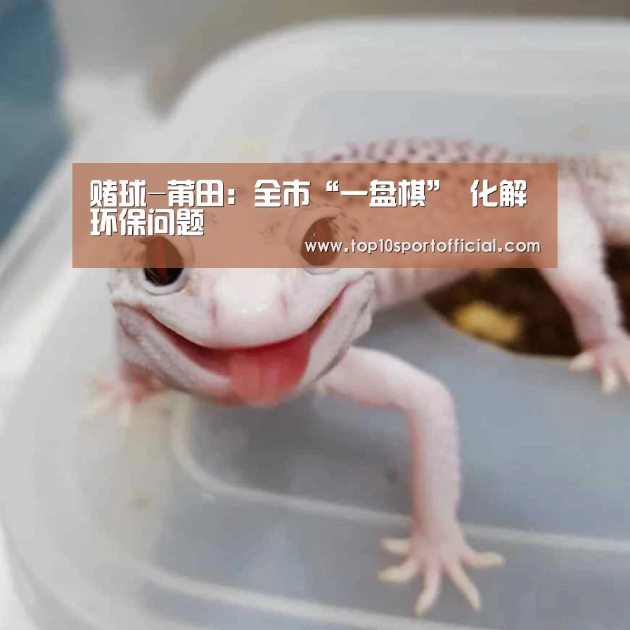 赌球-莆田:全市“一盘棋” 化解环保问题(图2) 足球压住