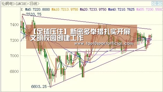 【足球压住】新密多举措扎实开展文明校园创建工作(图1) 足球下注